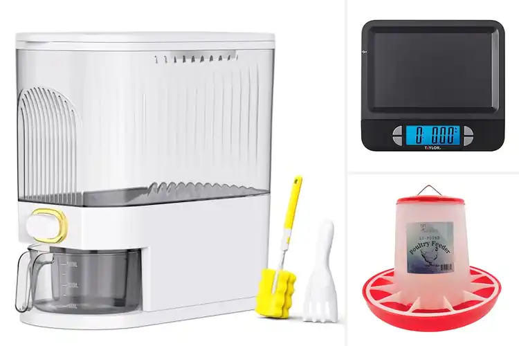 Detailed view of Best 11 lb Capacity Products to Boost Your Daily Efficiency