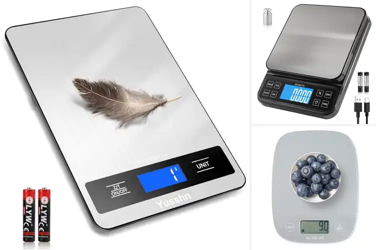 Detailed view of Best 11 Lb Precision Weighing