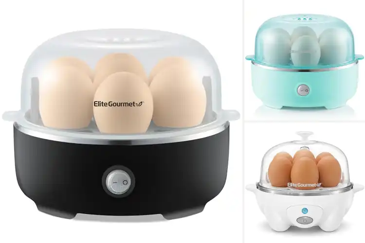 Detailed view of Best 7 Egg Cookers for Quick, Perfect Mornings