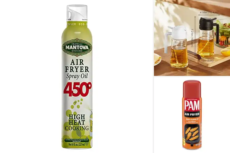 Detailed view of Best Air Fryer Sprayers