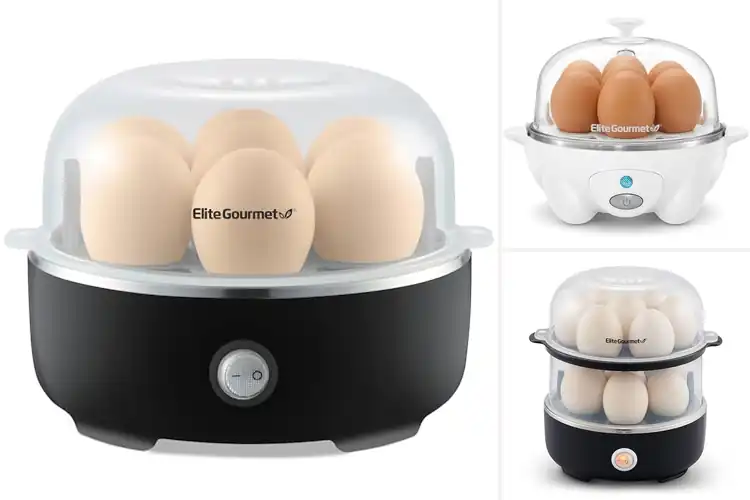 Detailed view of Best Auto Shut-off Cookers
