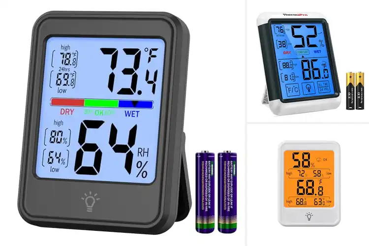 Detailed view of Best Backlit Digital Thermometers