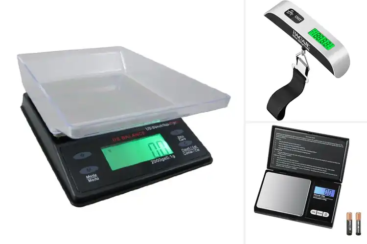 Detailed view of Best Backlit LCD Display Scale