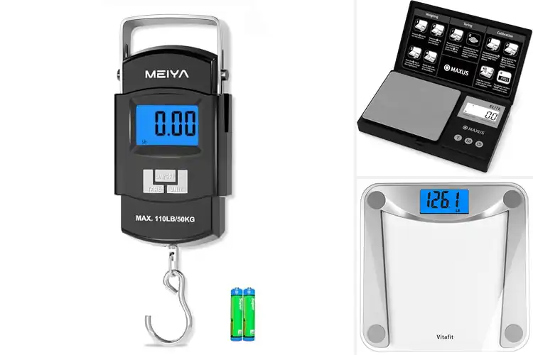 Detailed view of Best Backlit LCD Scale