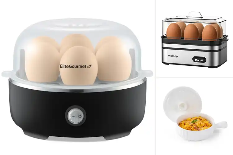 Detailed view of Best BPA-free Cookers
