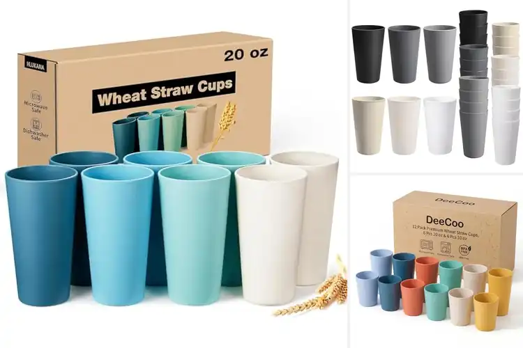Detailed view of Best BPA-Free Cups for Everyday Use