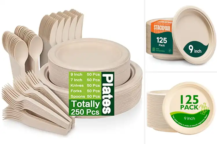 Detailed view of Best Compostable Papers: Easy Eco-Friendly Daily Use