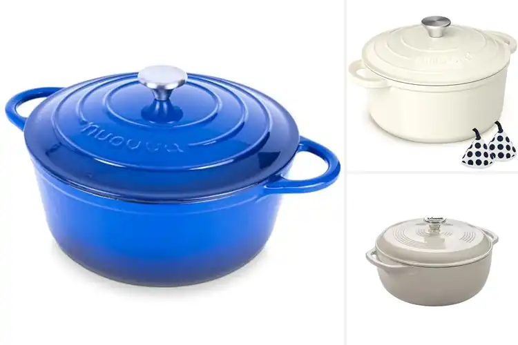 Detailed view of Best Dutch Ovens For Braising