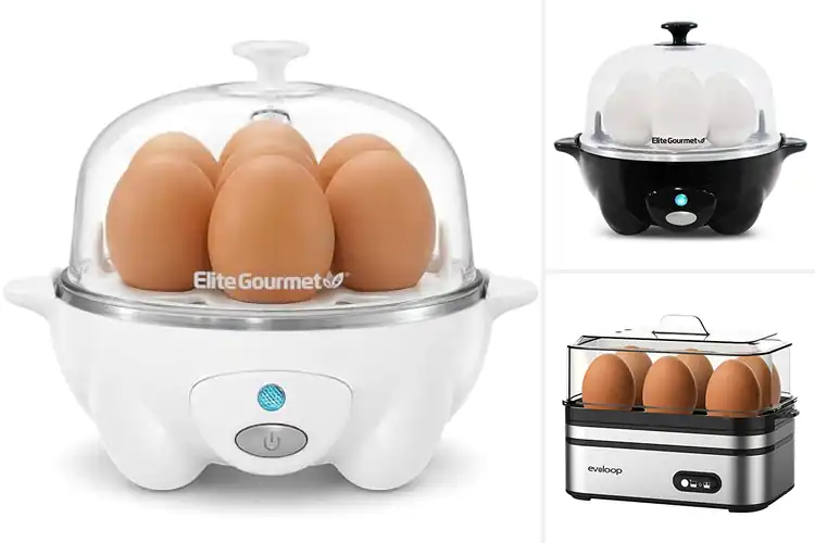 Detailed view of Best Egg Boiling Machines