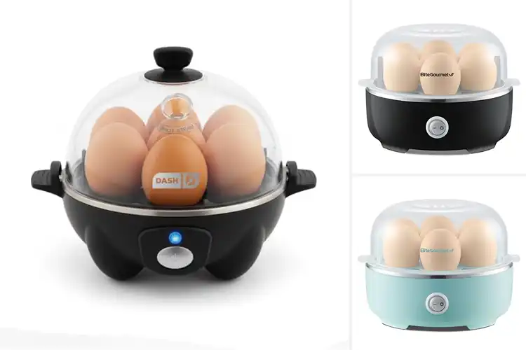Detailed view of Best Electric Egg Cookers