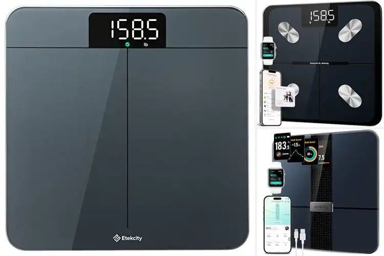 Detailed view of Best Etekcity Scales: Top 10 Picks to Simplify Your Life