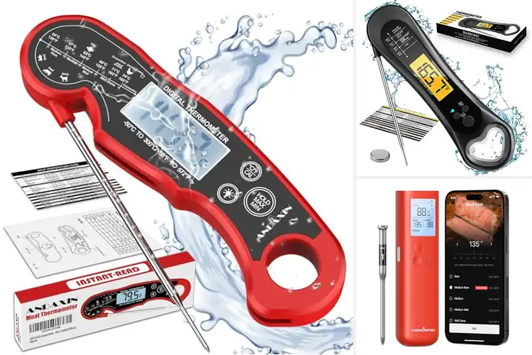 Detailed view of Best Food Thermometers for Grilling