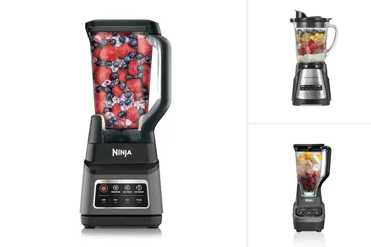 Detailed view of Best Frozen Drink Blenders