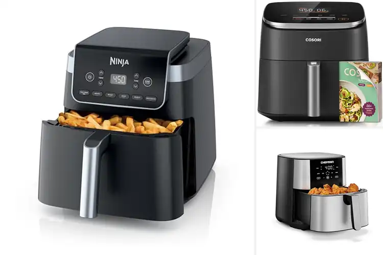 Detailed view of Best Large Capacity Air Fryers