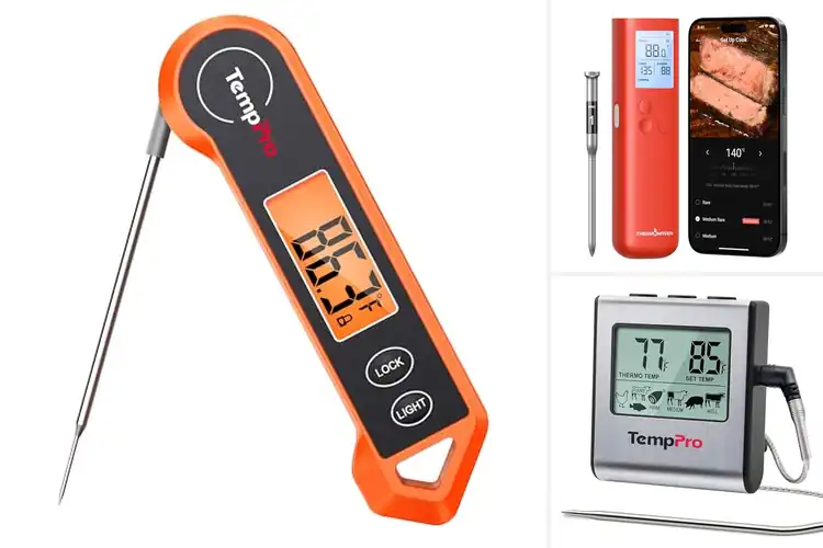 Detailed view of Best Meat Thermometers for Grilling