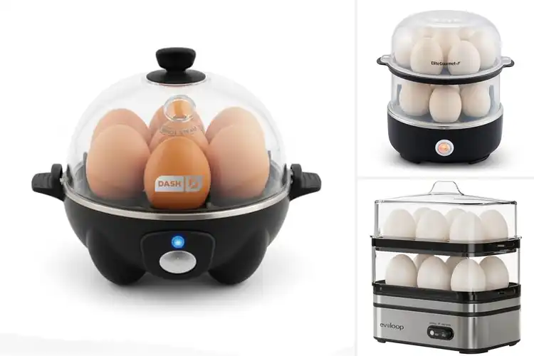 Detailed view of Best Multi Egg Cookers