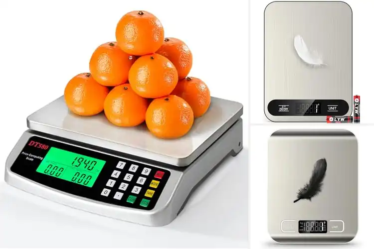 Detailed view of Best Multi-Unit Kitchen Scales