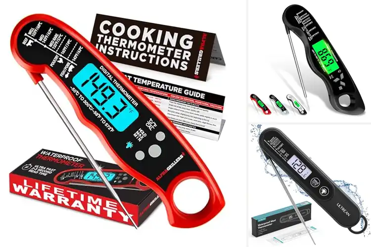 Detailed view of Best Multi-Use Food Thermometers for BBQ