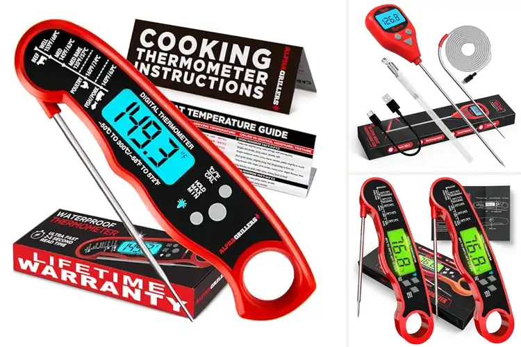 Detailed view of Best Multi-Use Food Thermometers