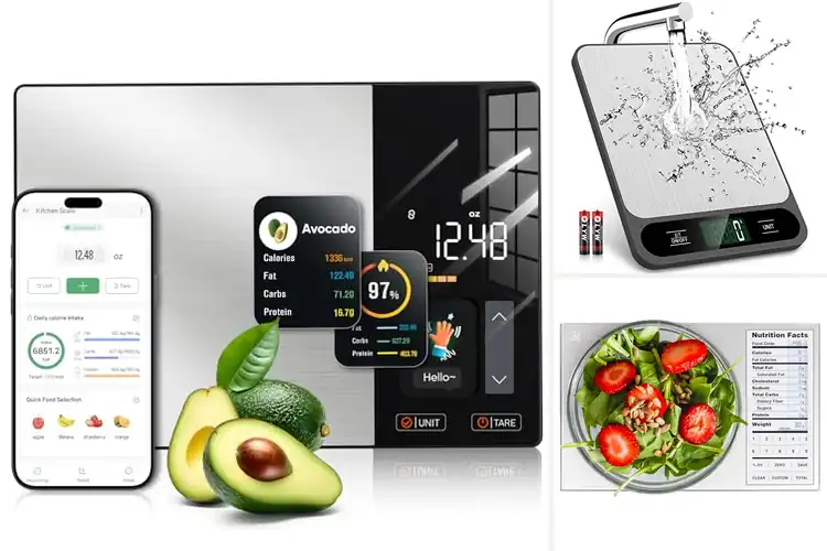 Detailed view of Best Scales For Meal Prep