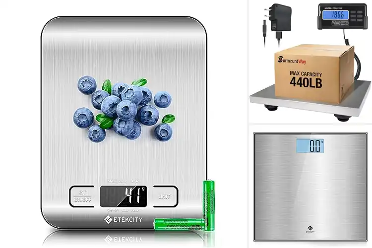 Detailed view of Best Stainless Steel Scale