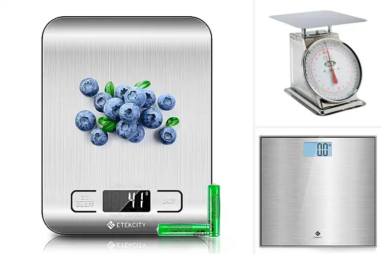 Detailed view of Best Stainless Steel Scales