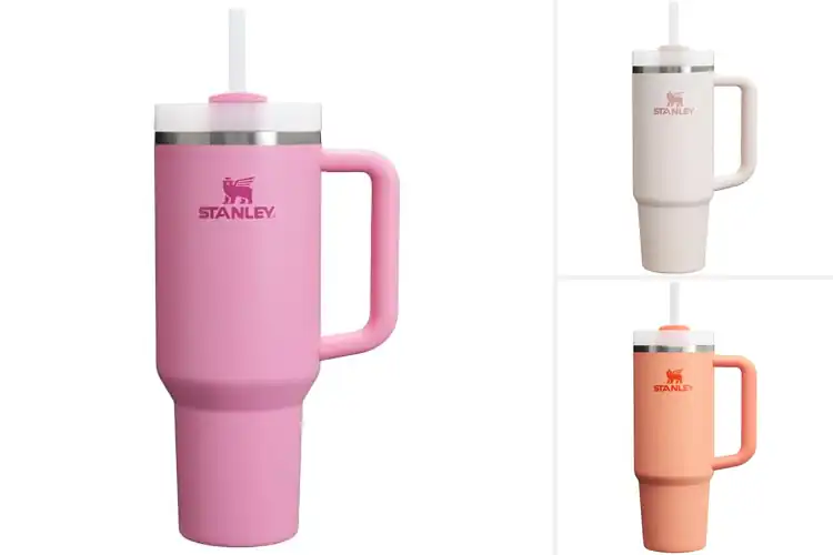 Detailed view of Best Stanley Tumblers : Hot/Cold All Day