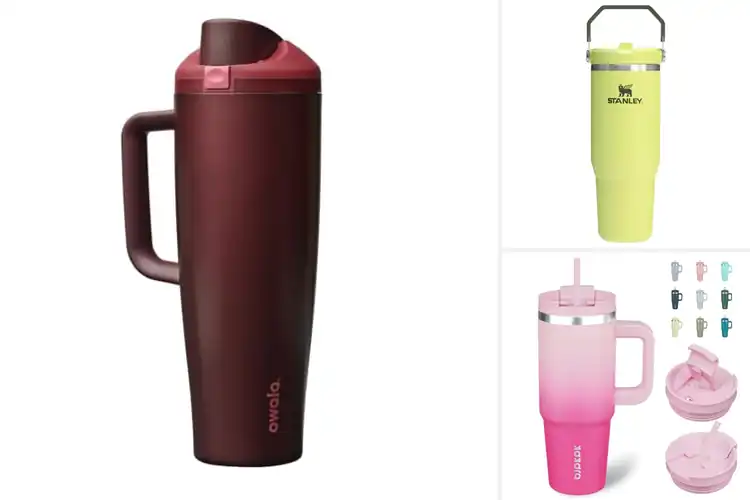 Detailed view of Best Travel Tumbler With Handle
