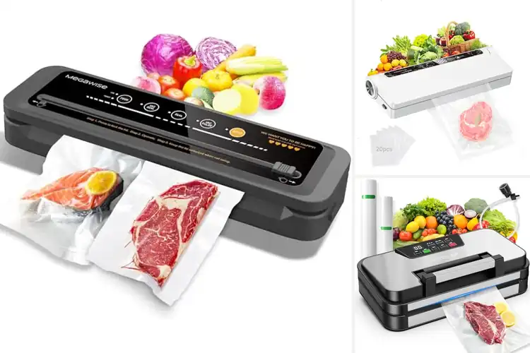 Detailed view of Best Value Vacuum Sealer System: Keep Food Fresher Longer